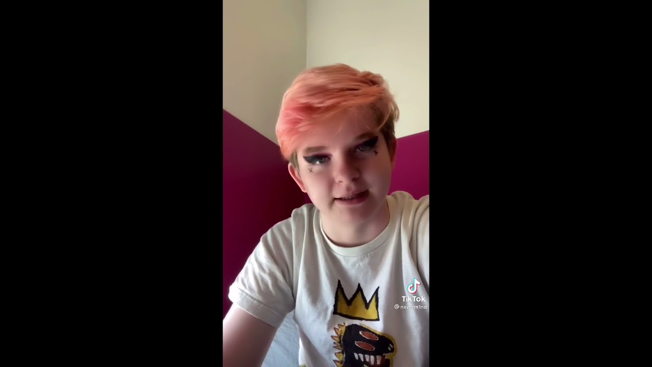 Mcyt tik toks that made Tommy get a girlfriend
