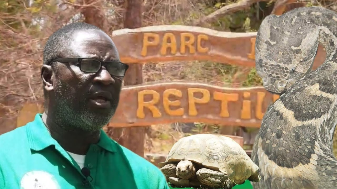 Le Conservateur de la Réserve de Bandia Mr Cheikh T Diop sur les ressources animalières