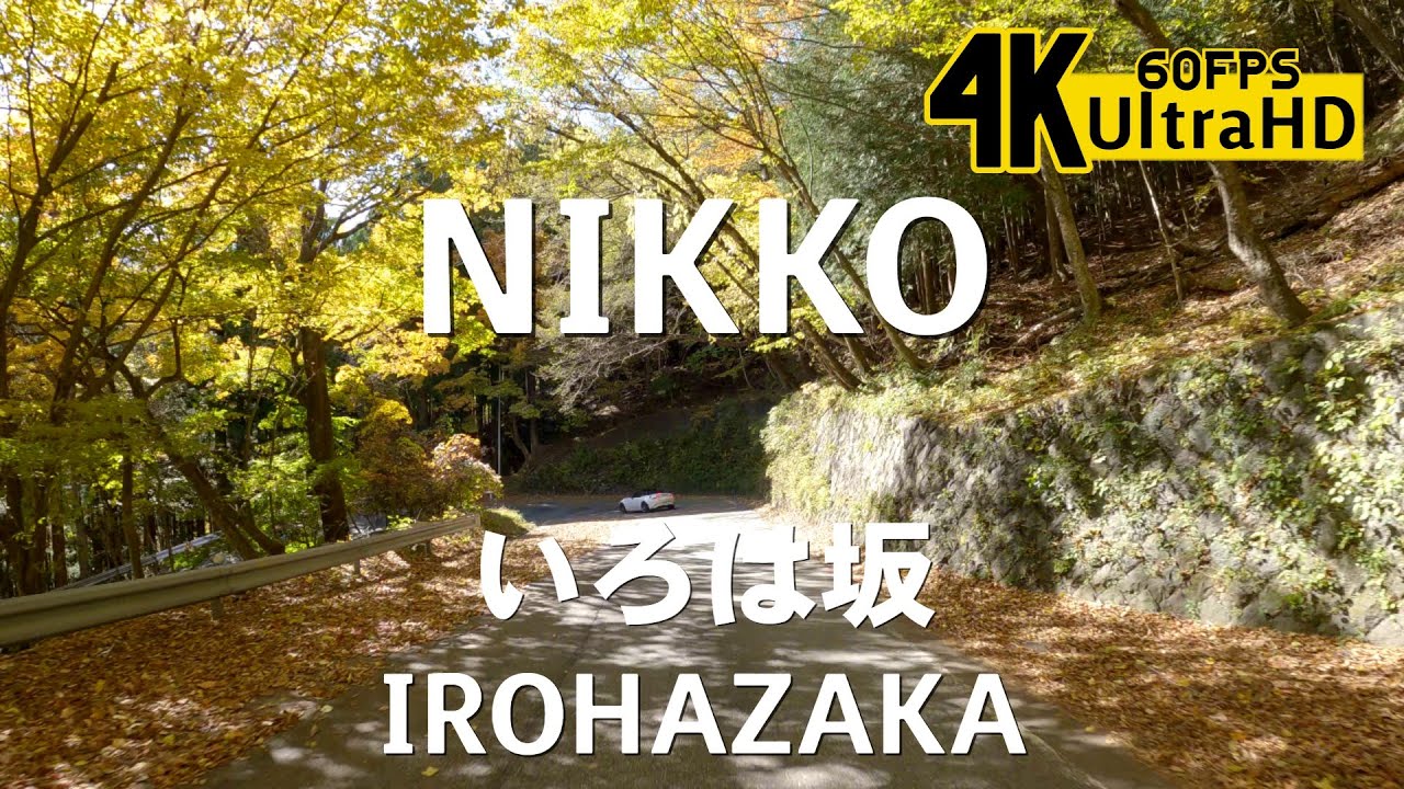 4K60 Nikko, Irohazaka, Senjogahara, Chuzenji-ko, Autumn leaves - Downhill -