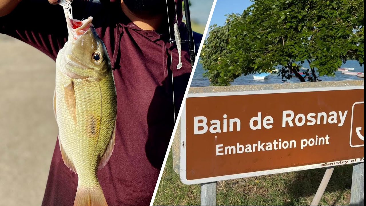 Winter Shore Casting at Bain de Rosnay- Fishing beach Mauritius