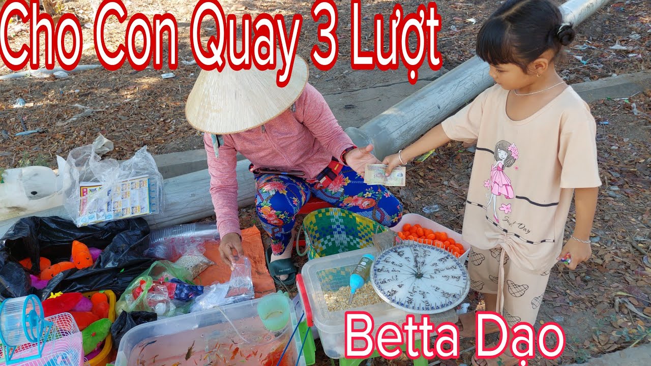 Bé Gái 4 Tuổi Đối Đầu Cô Bán Betta Dạo Quay Thưởng Và Cái Kết