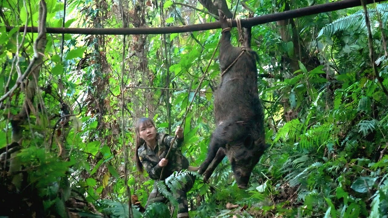 Survive alone in the jungle, track wild boar tracks, set primitive traps to trap wild boars