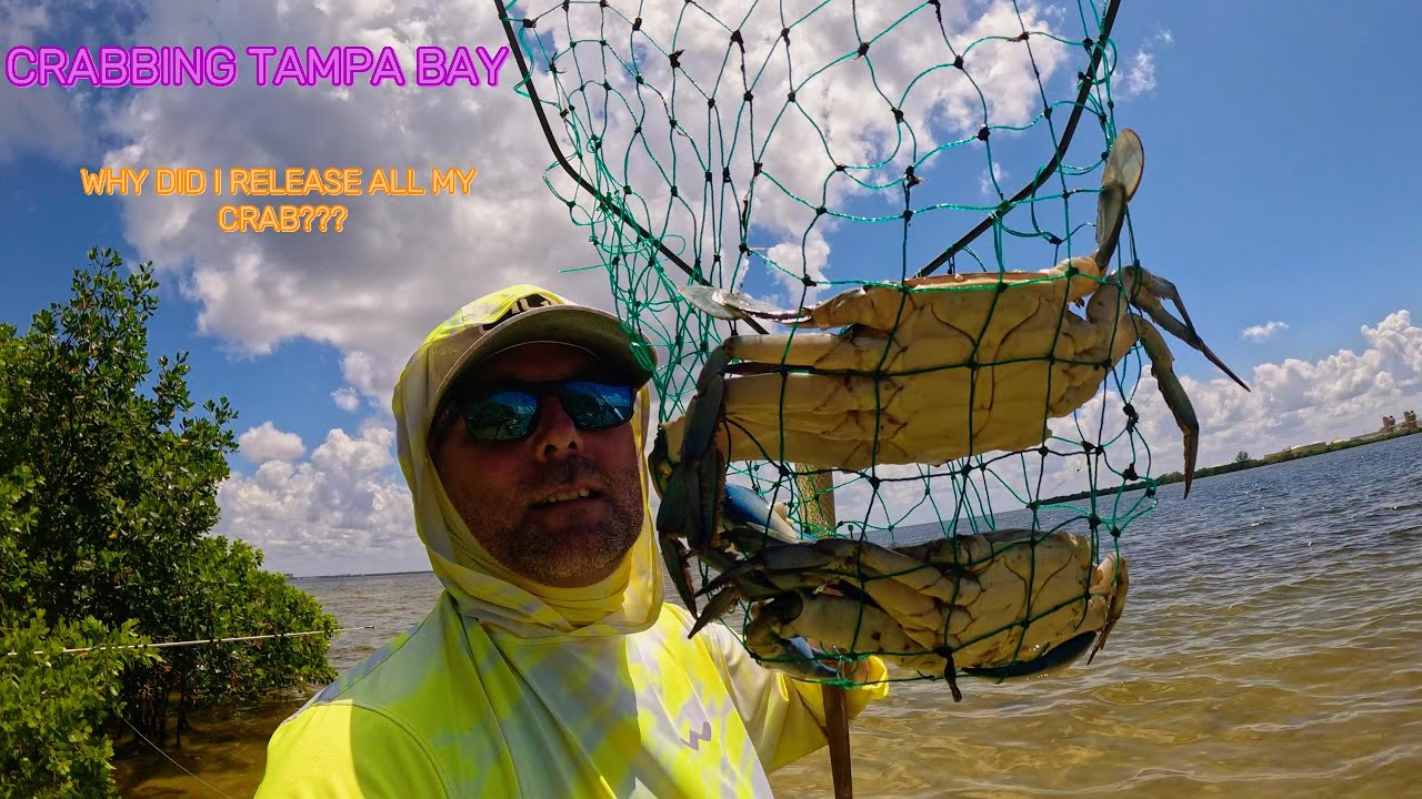 First time catching big blue crab in Tampa Bay.  Location reveal and why I released my crab.
