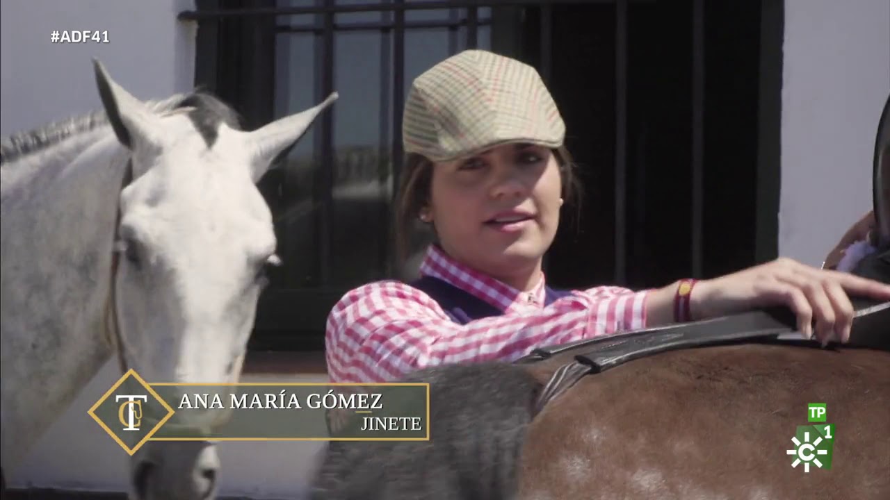 Todocaballo |  Los caballos, en la Feria de Jerez y en la Romería de la Puebla de Guzmán