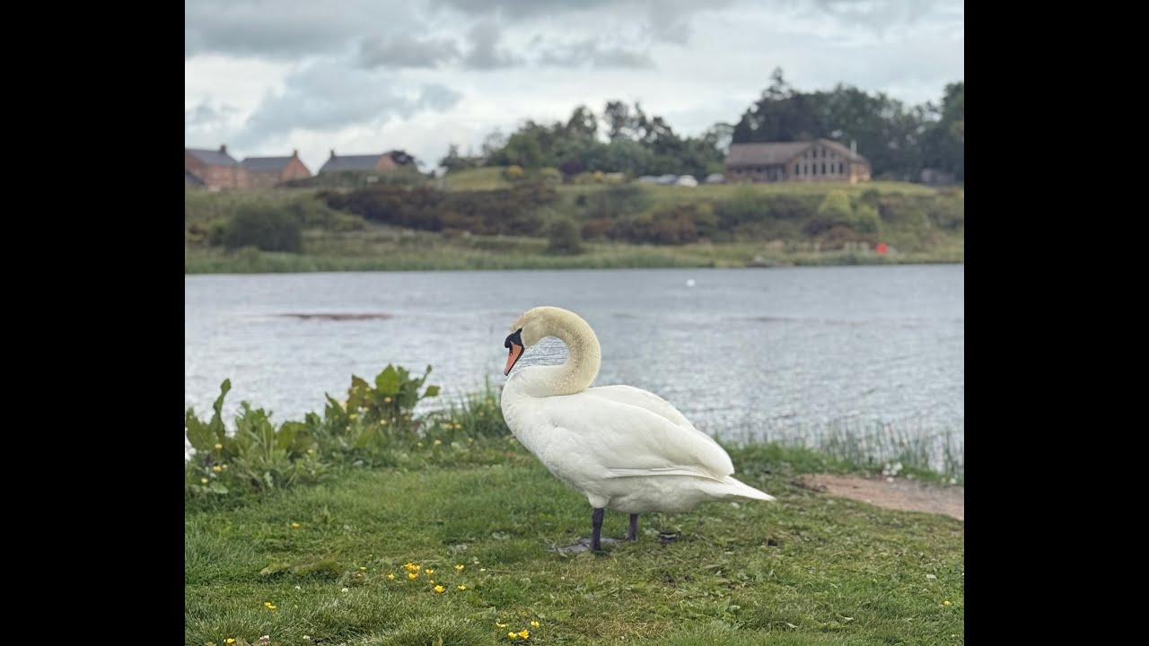Thrunton Fishery 31st May 2025