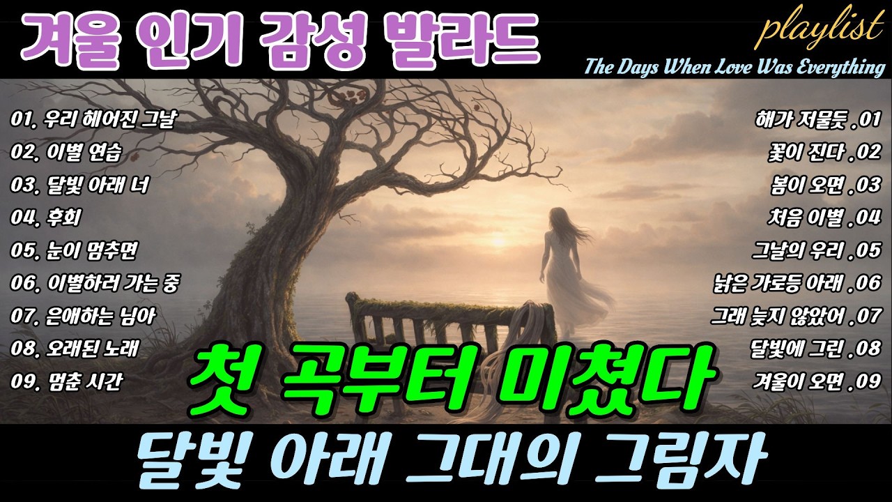 ❄️ 첫 곡부터 미쳤다 🎶 달빛 아래 그대의 그림자, Your Shadow Beneath the Moonlight Breakup Ballads | 겨울에 듣기 좋은 노래