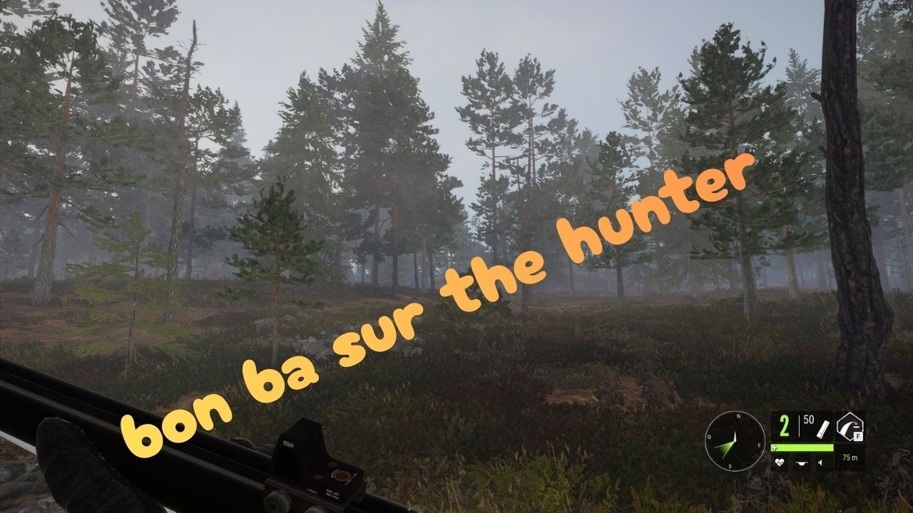 bon ba sur the hunter  rien ne va aujourd'hui explication!!!