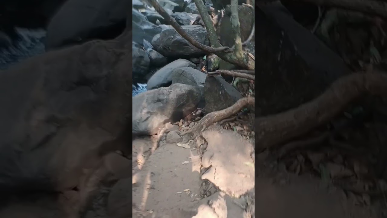 How to Reach Dudhsagar Falls from Jeep Parking 🚶 Full Walking Route Guide ದೂದ್ ಸಾಗರ್