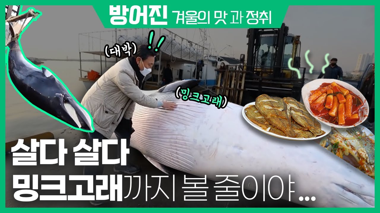 울산 방어진 / 명덕호수공원/ 동울산종합시장/일산지/보성학교전시관/ 가자미경매/ 밍크고래/ 방어진공동어시장/ 거문고섬 슬도 [ 테마기행길 ] 210121