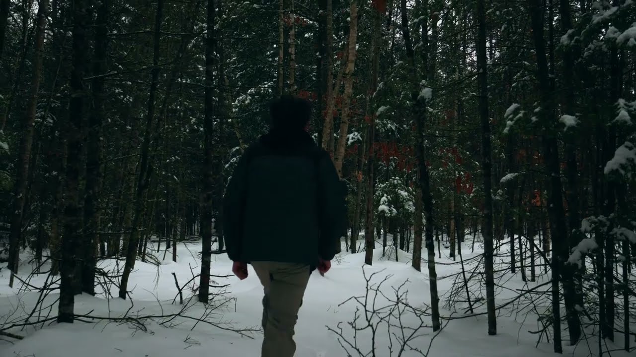 Walk