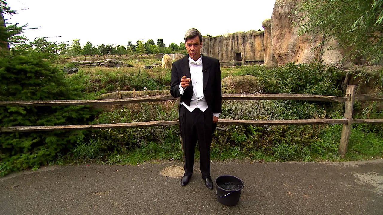 #ALSicebucketchallenge