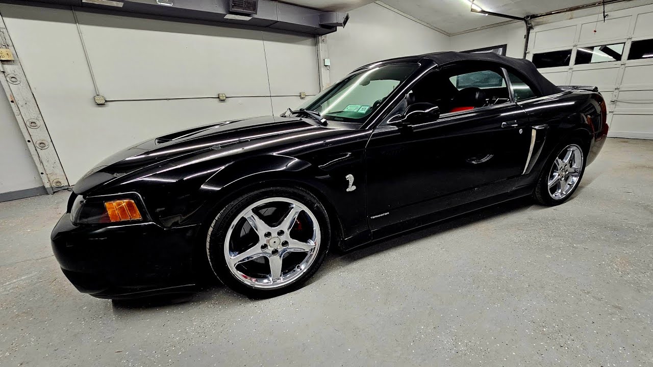 2004 Mustang terminator Cobra 00000004