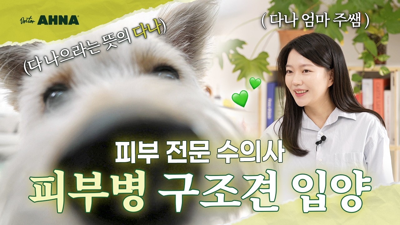 9년차 피부 전문 수의사가 피부병 구조견 '다나'를 입양하게 된 계기?