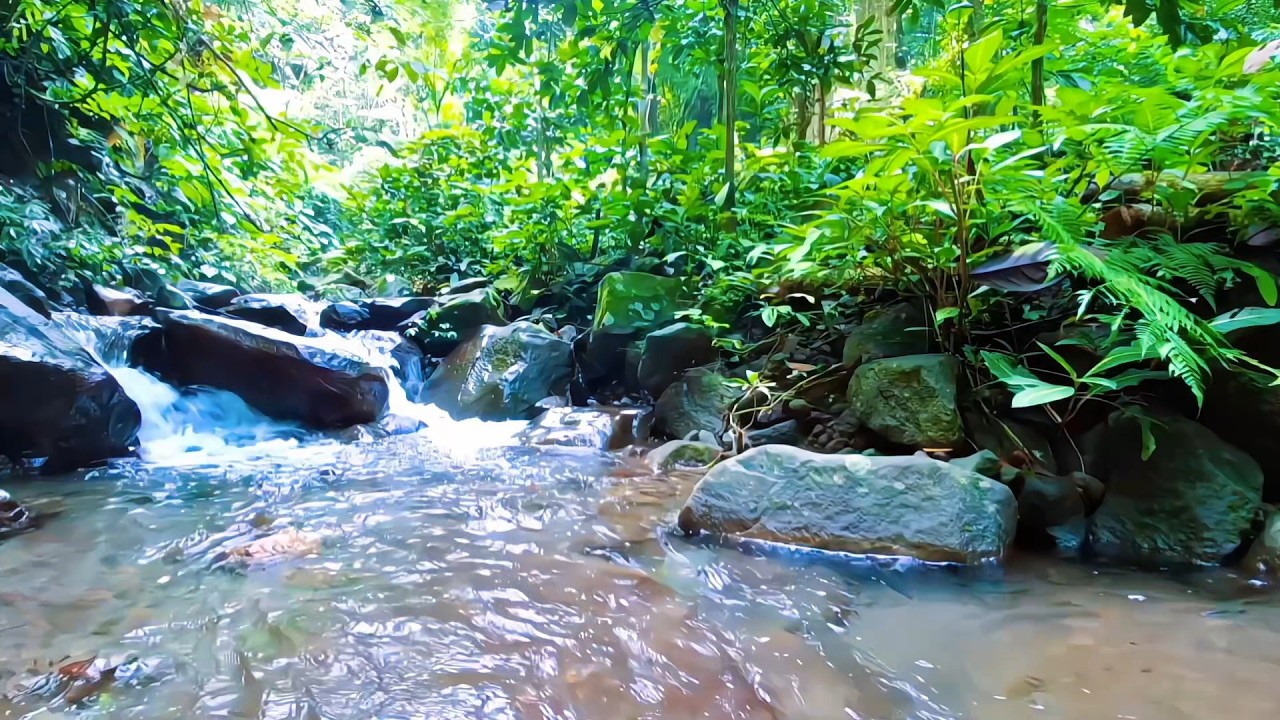 Soft River Sounds for Deep Night Rest