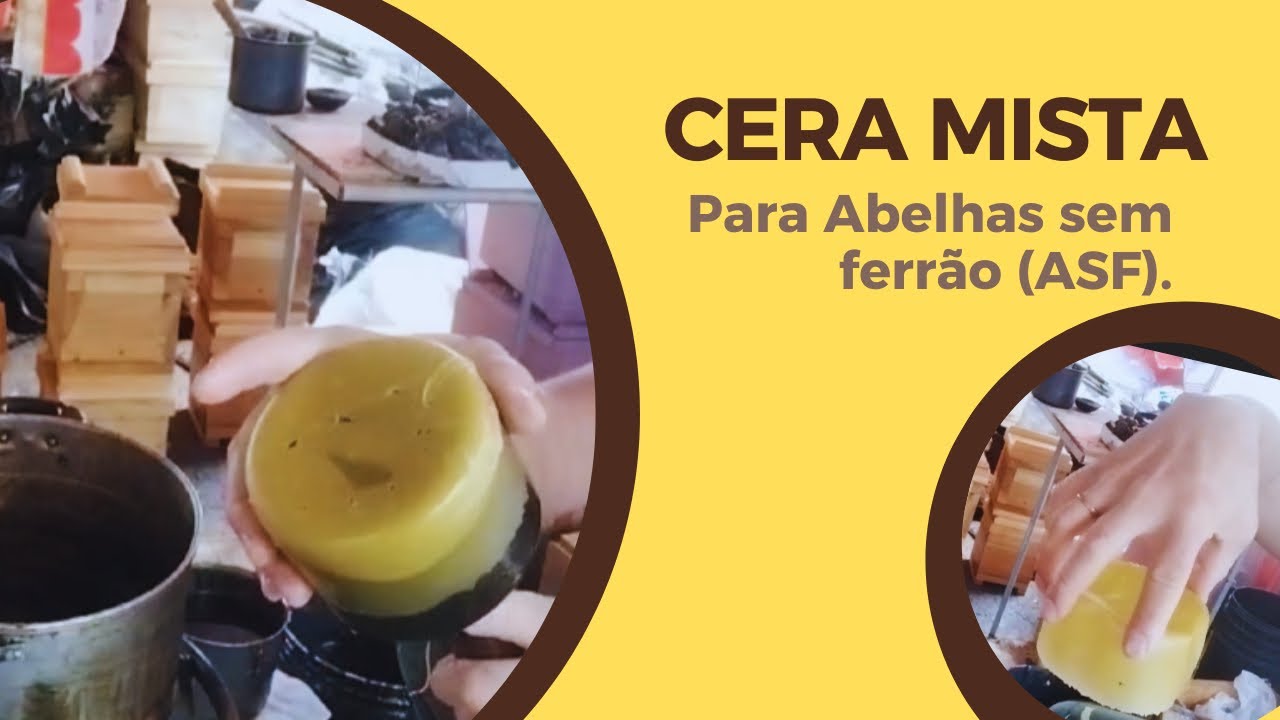 Tutorial de Cera Mista + DICA para cobrir os discos na multiplicação de ASF.