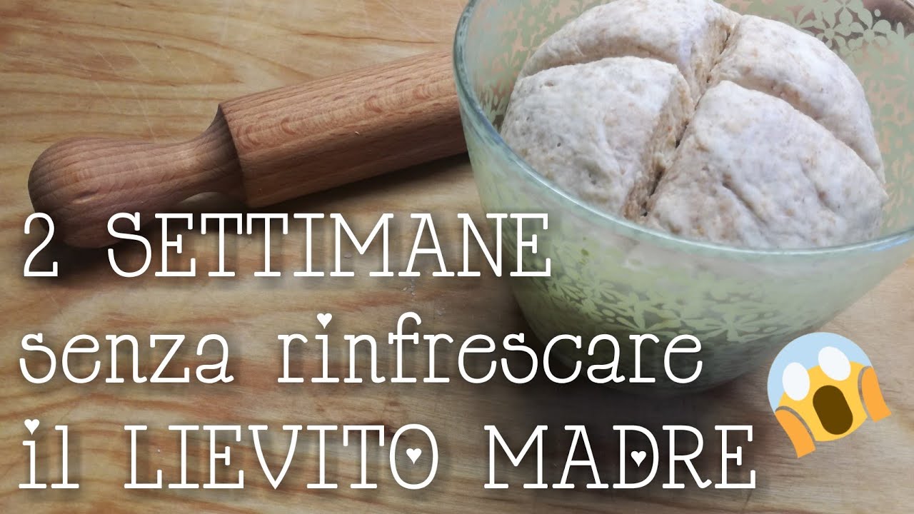LIEVITO MADRE dopo le vacanze. Cosa succede se lo lasciamo 15 giorni