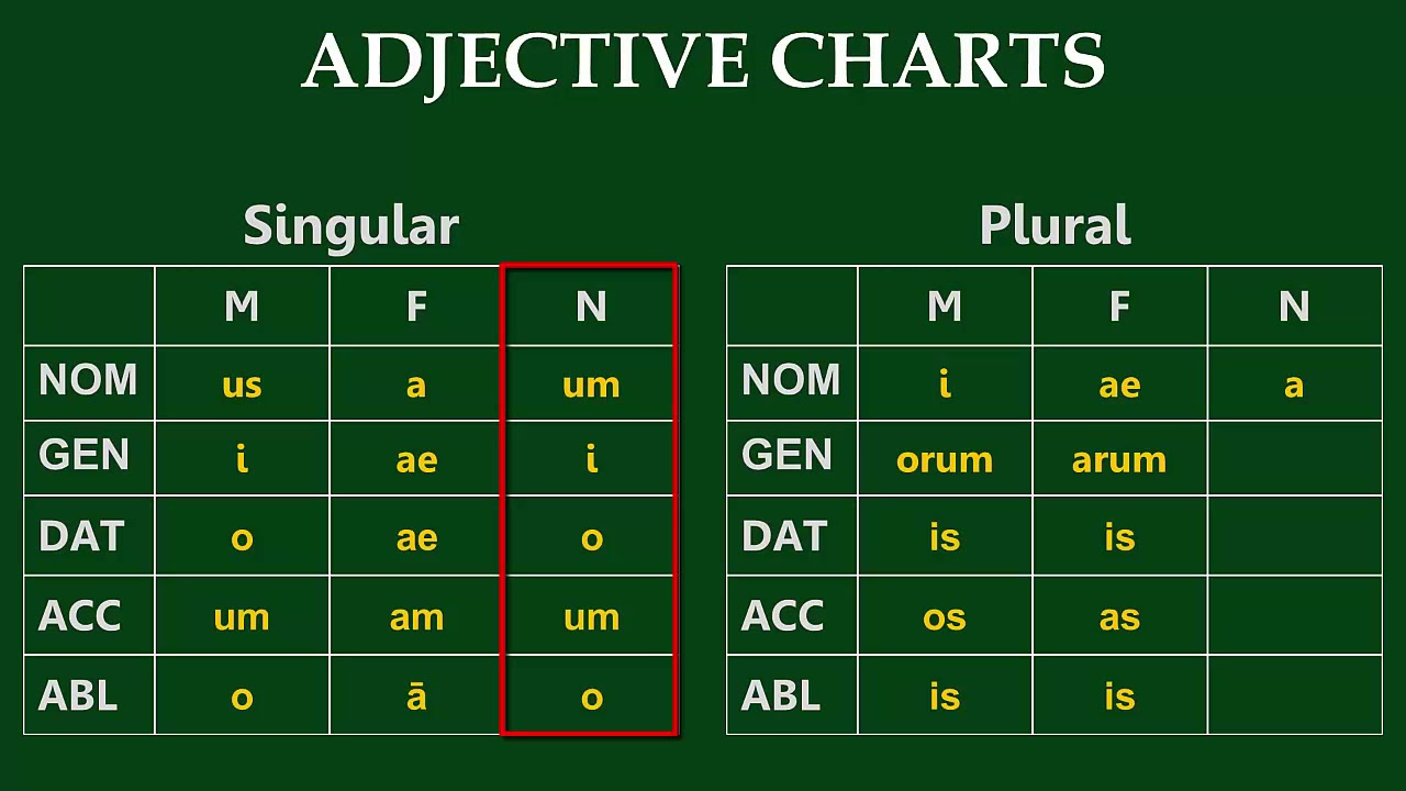 First / Second Declension Adjectives (3.1.2)