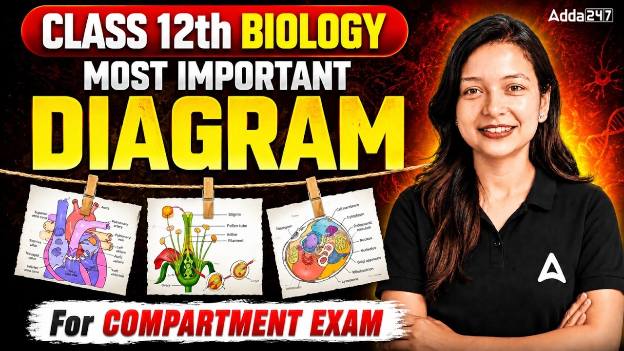 Don&rsquo;t Skip ❌ | Class 12 Biology Compartment 2026 All Important Diagrams in One Video | 🔴Score 70/70