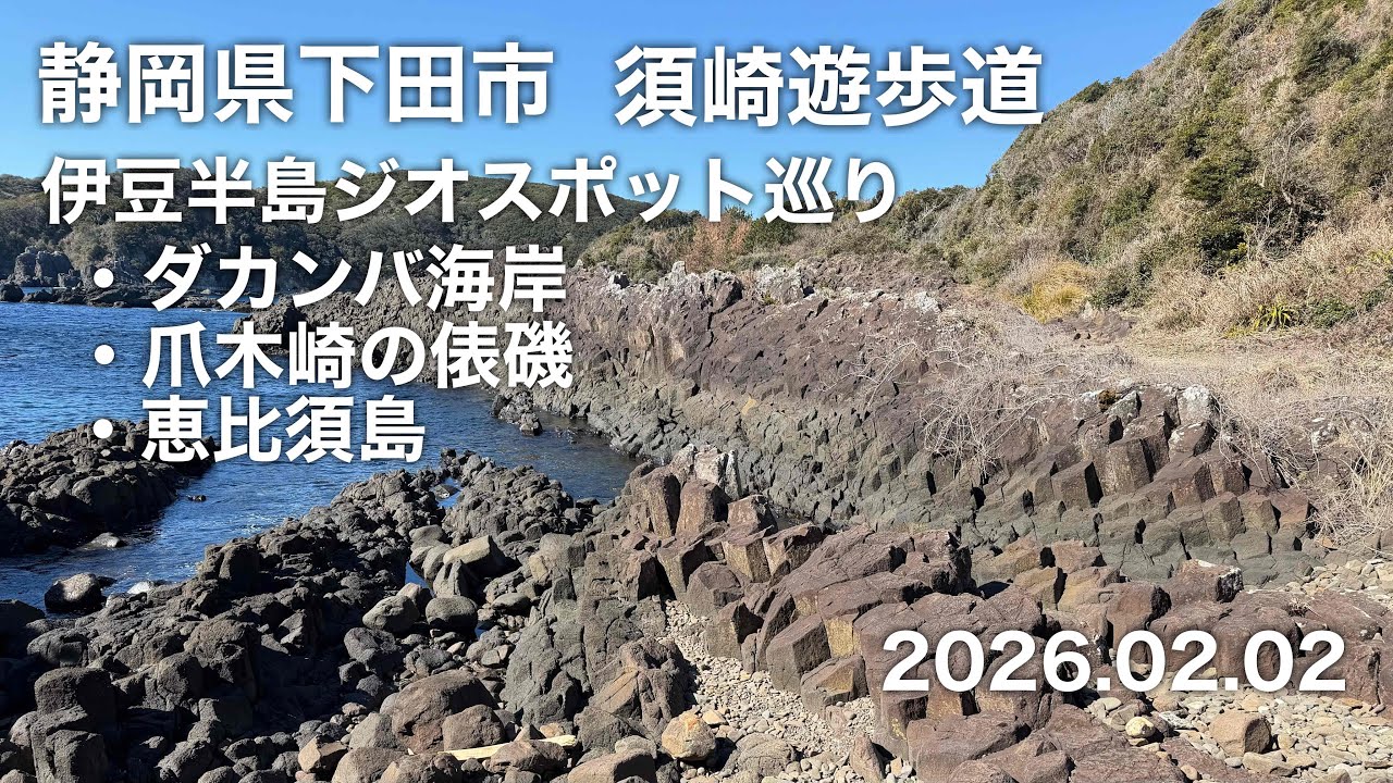 【ハイキング】 静岡県下田市 須崎遊歩道 2026.02.02