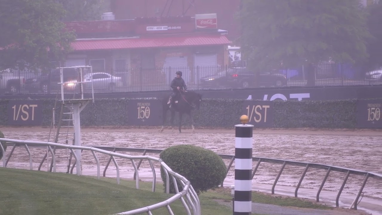 Heart of Honor Training Wed 5-14-2025