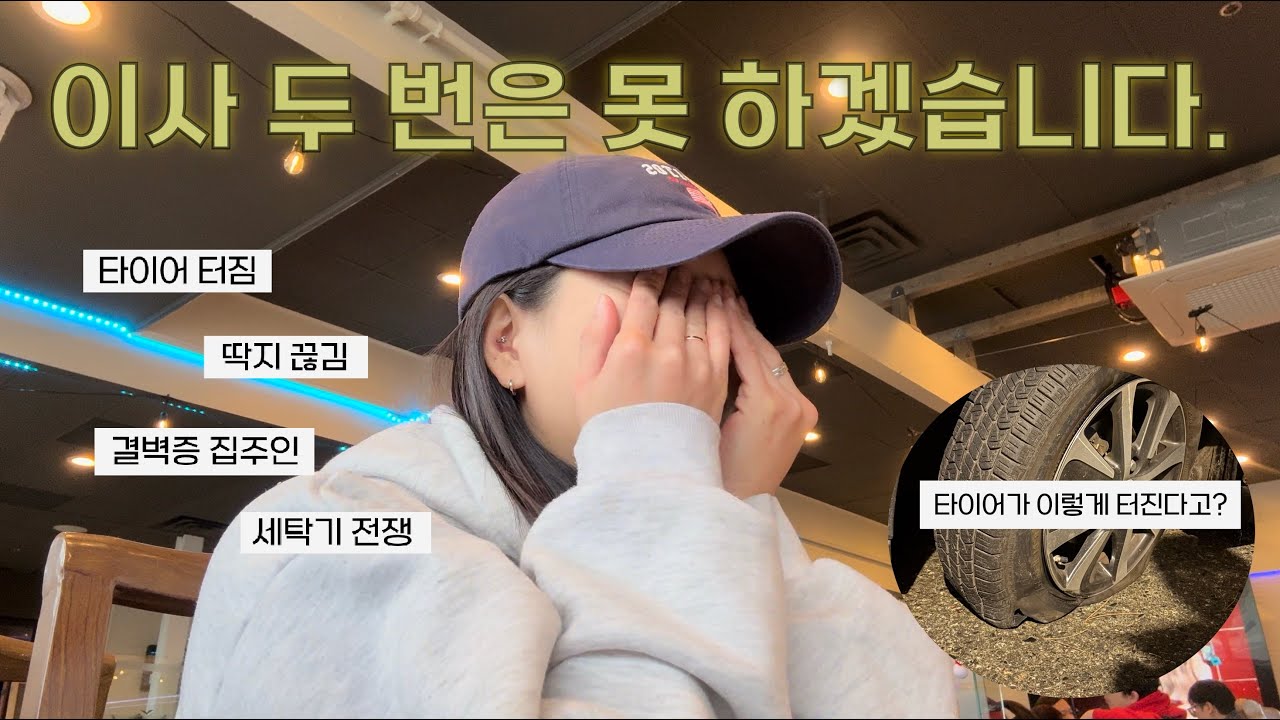 2026년 얼마나 잘 되려고 이러는지 감도 안 옴
