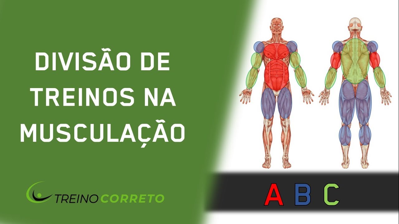 Divisão de Treinos na Musculação - Treino Correto #64