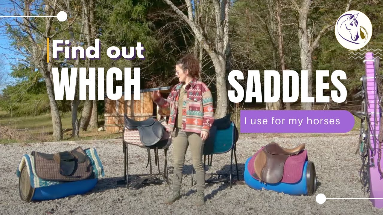 Which saddles do I use for my horses?