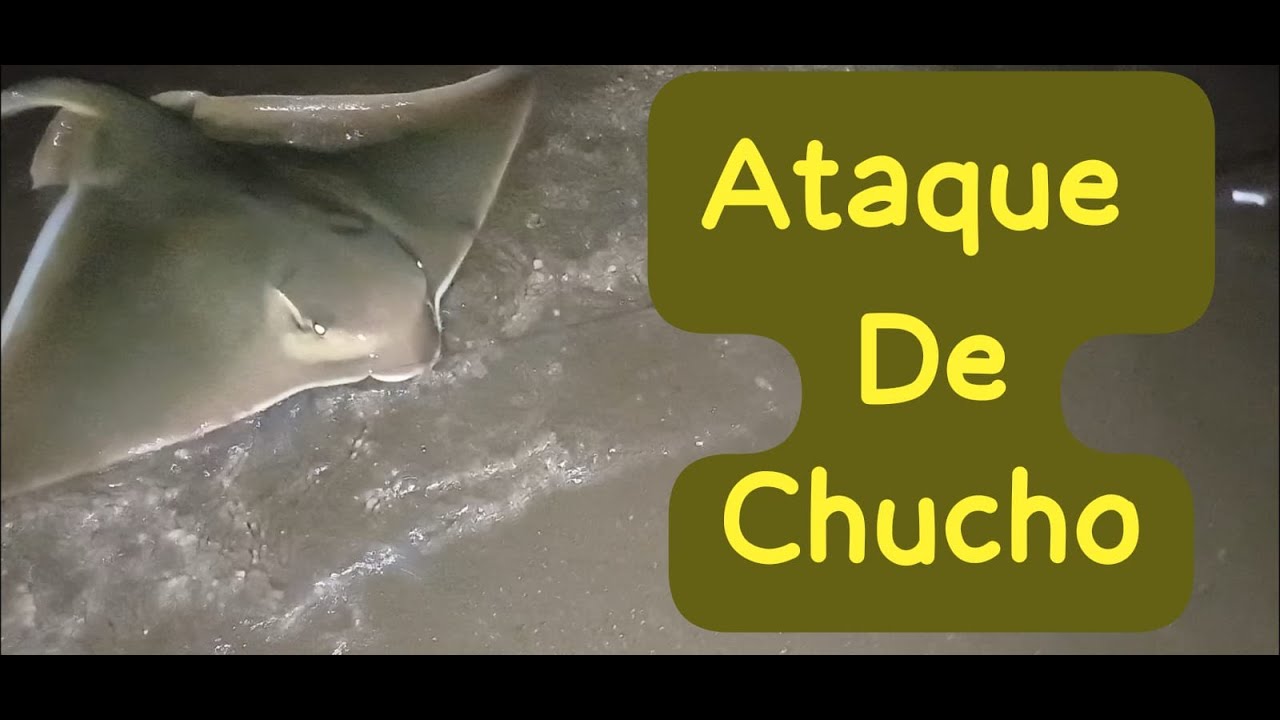 MUCHISIMA PESCA DE COSTA,CON EL LOCUTOR :Balneario marisol.