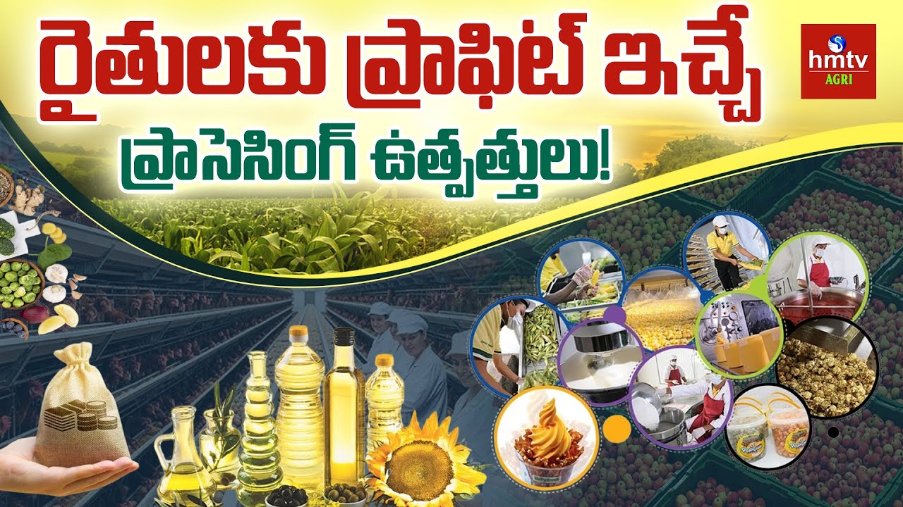 రైతులకు ప్రాఫిట్ ఇచ్చే ప్రాసెసింగ్ ఉత్పత్తులు! | పంటకు రెట్టింపు ధర పొందే మార్గం.!