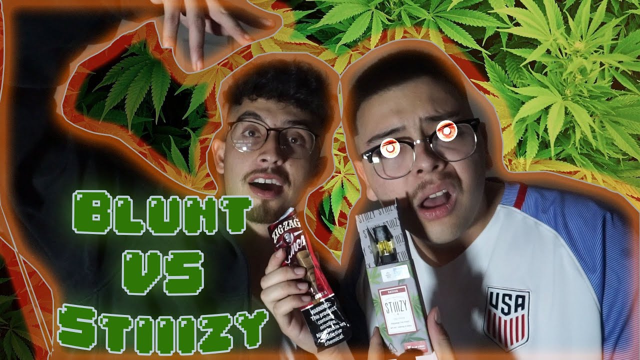 BLUNT VS STIIIZY COMPARISON