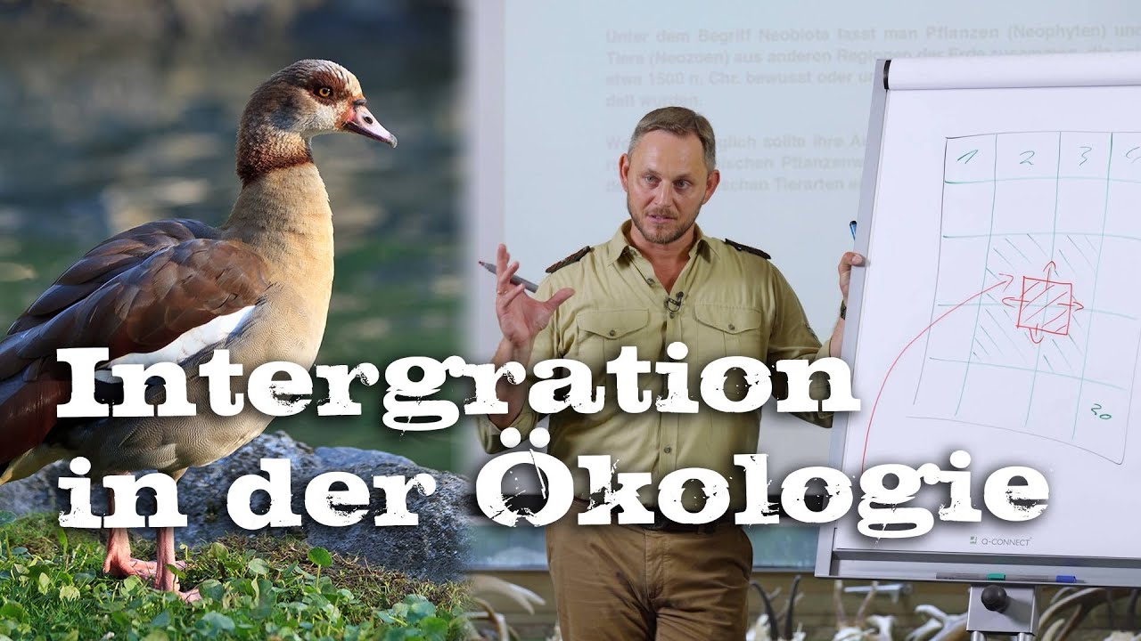 Einwanderung in unser &Ouml;kosystem | Integration in der &Ouml;kologie