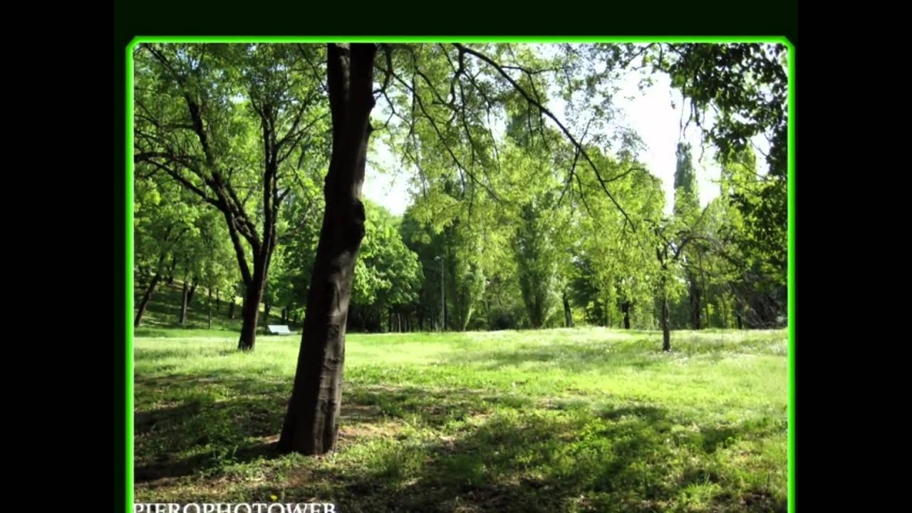 La montagnetta - il montestella QT8