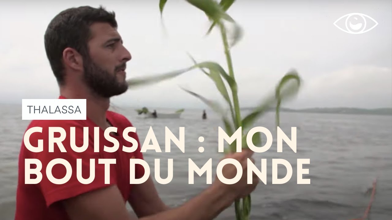 Gruissan, mon bout du monde - Thalassa