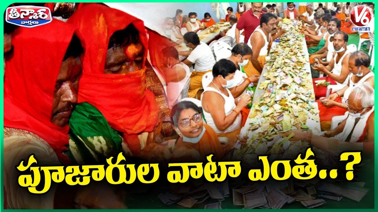 Medaram Sammakka Saralamma 2026 Jatara Hundi Counting, What Is The Share Of Priests ? | V6 Teenmaar