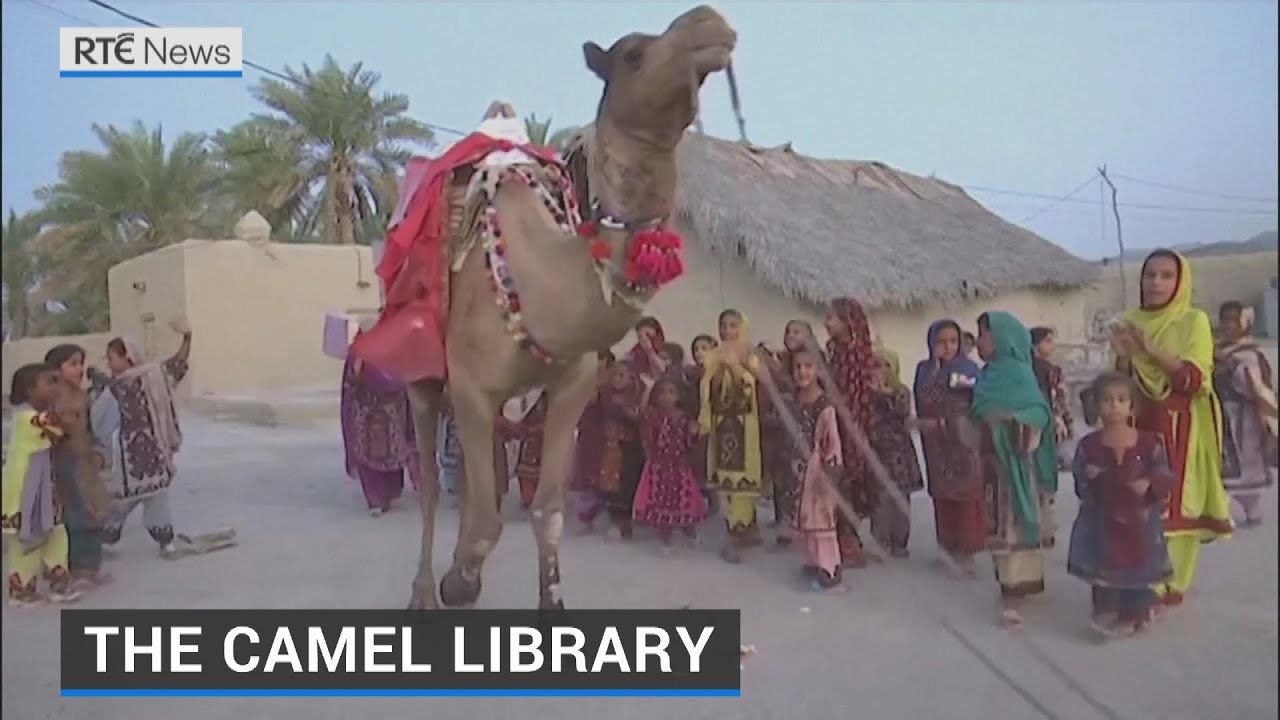 Camel libary brings books and joy to isolated children in Pakistan