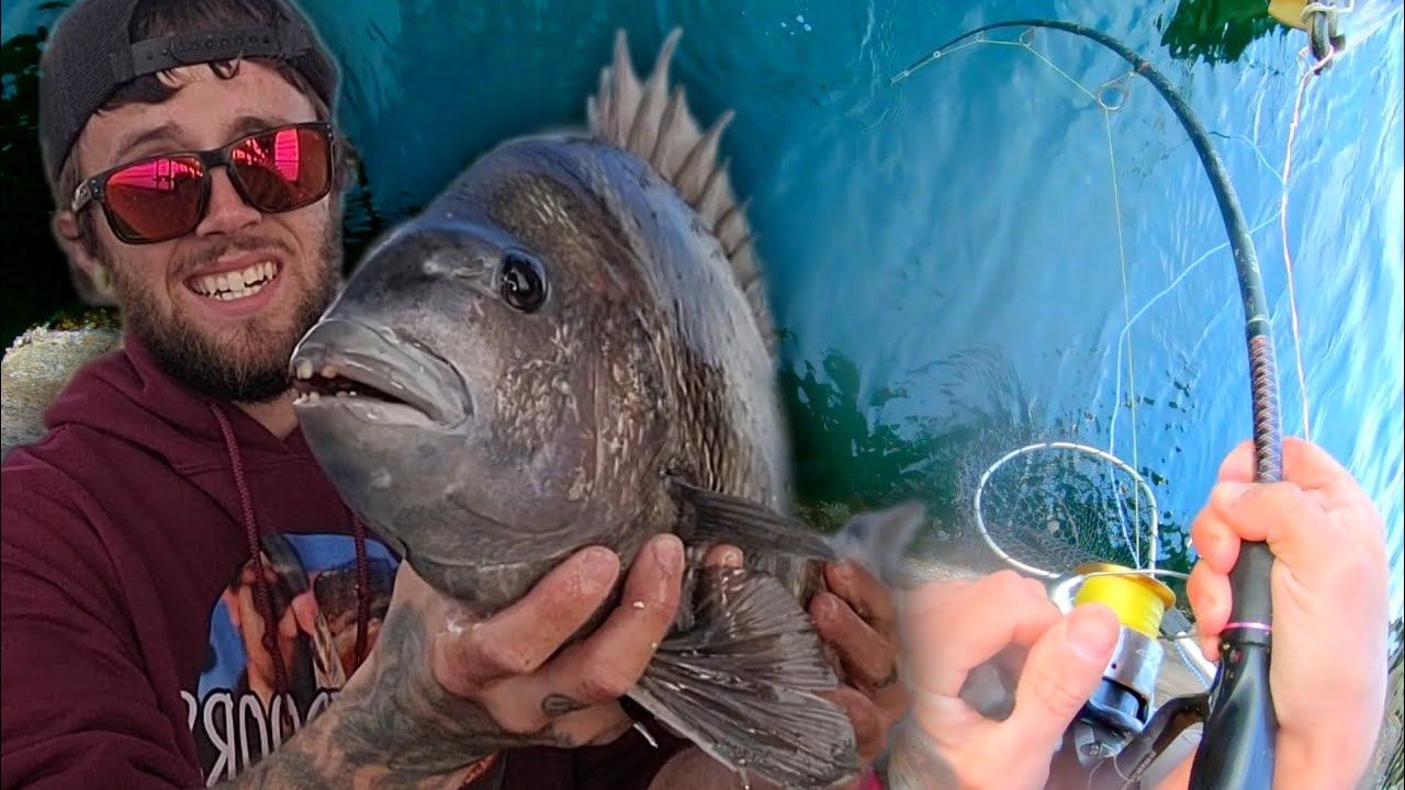 Destin Florida SHEEPSHEAD Fishing With OYSTERS | This Bridge Holds HUGE Fish!