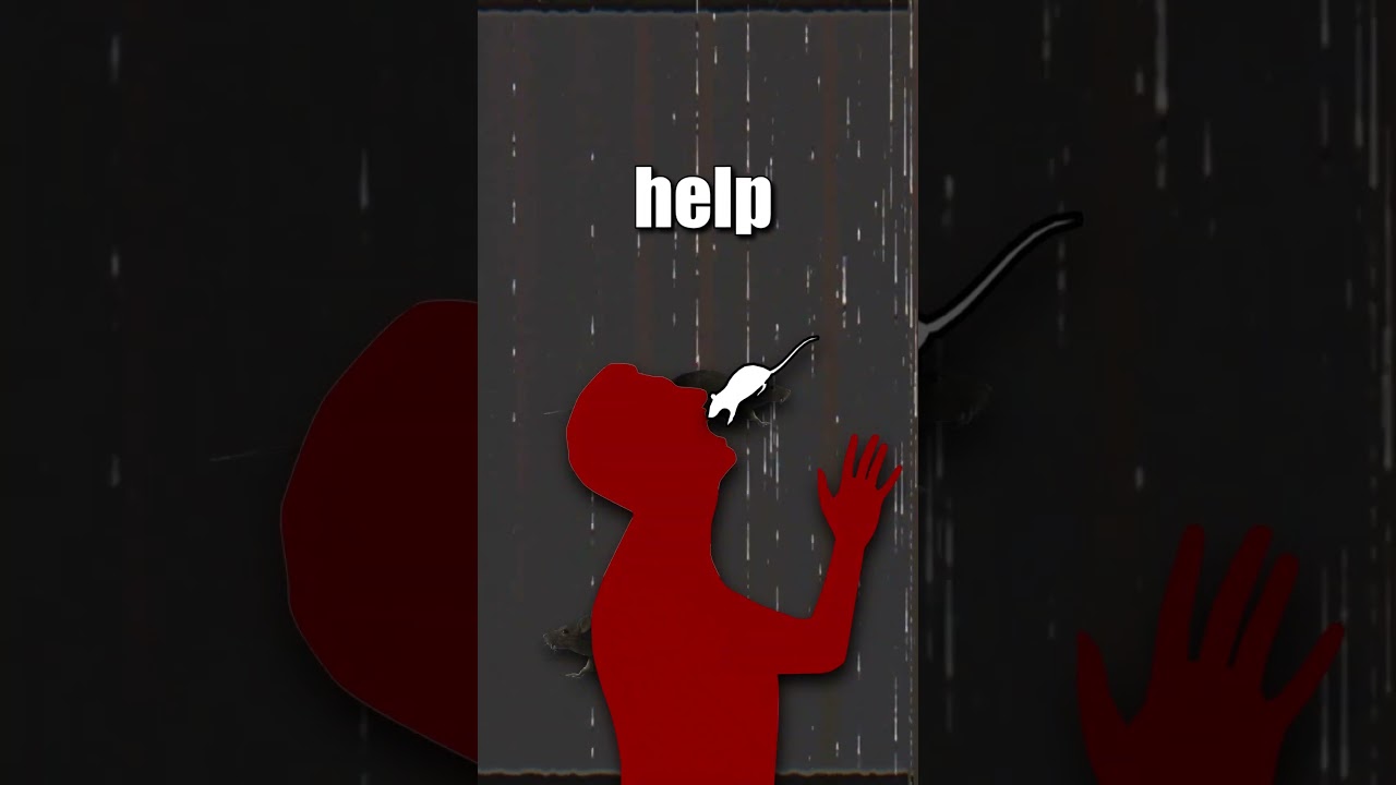 THE RAT HOLE INCIDENT 🐀