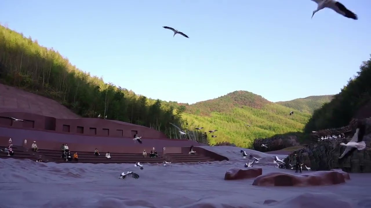 Unwind in Yaohu Town: A Bird-Watching Love Date Paradise