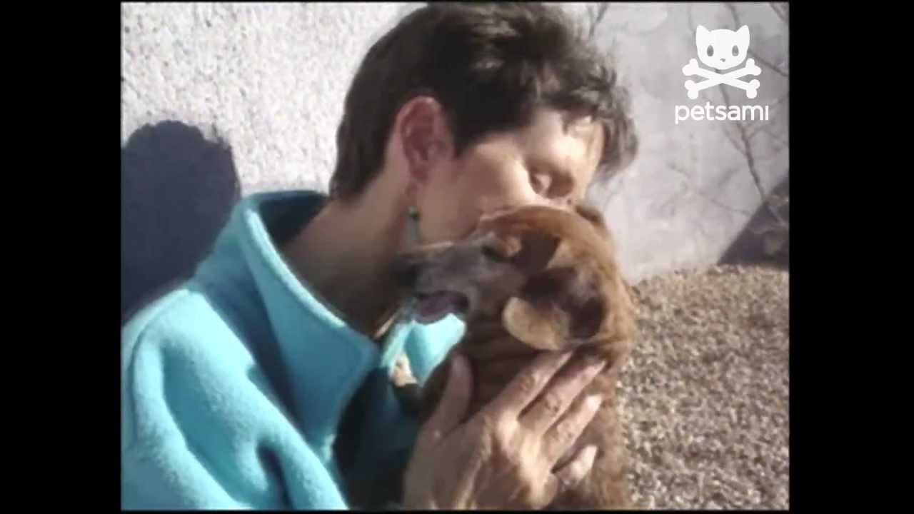 Dog with longest tongue can't stop kissing owner