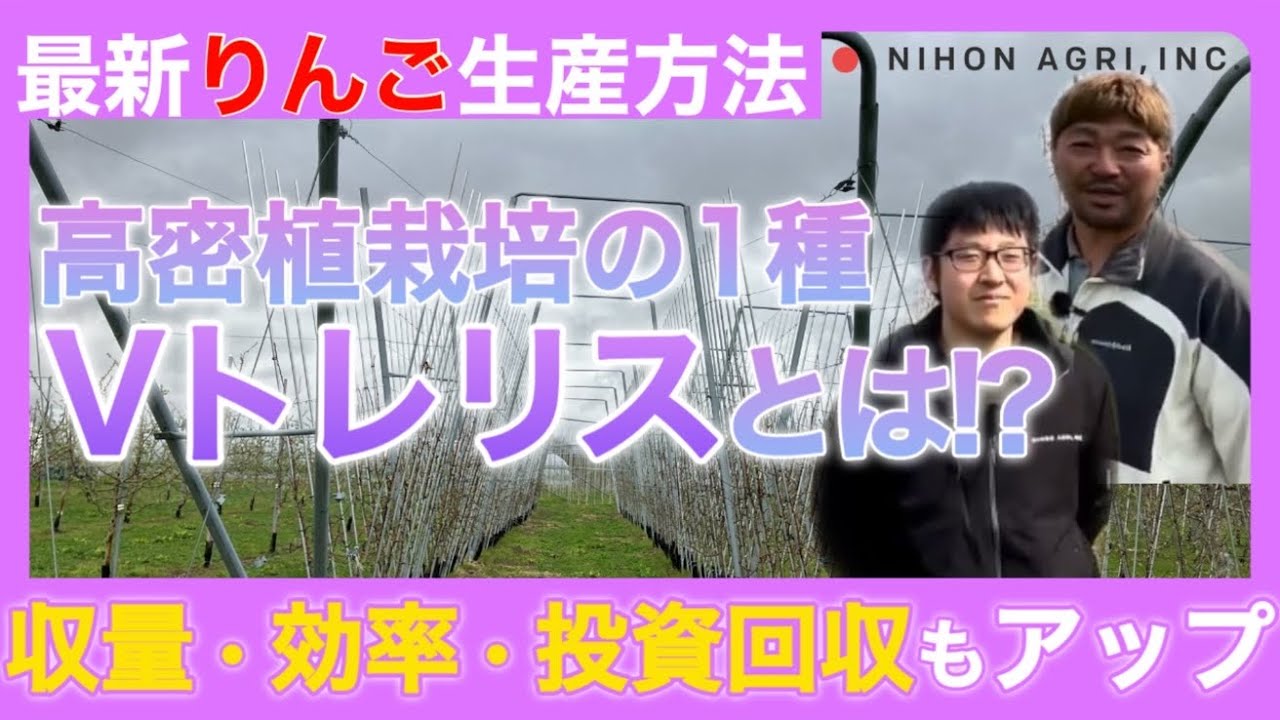 【最新！りんご生産方法】高密植栽培って1つじゃない！より収量・効率・投資回収が良い