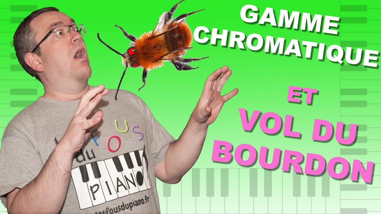 Gamme chromatique au piano et Vol du bourdon