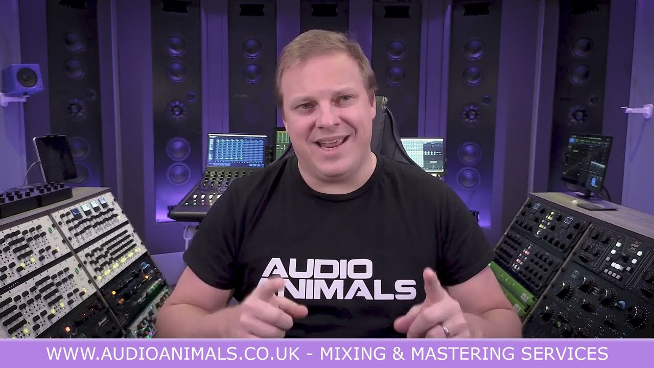 Audio Animals TK Audio Transformer Review