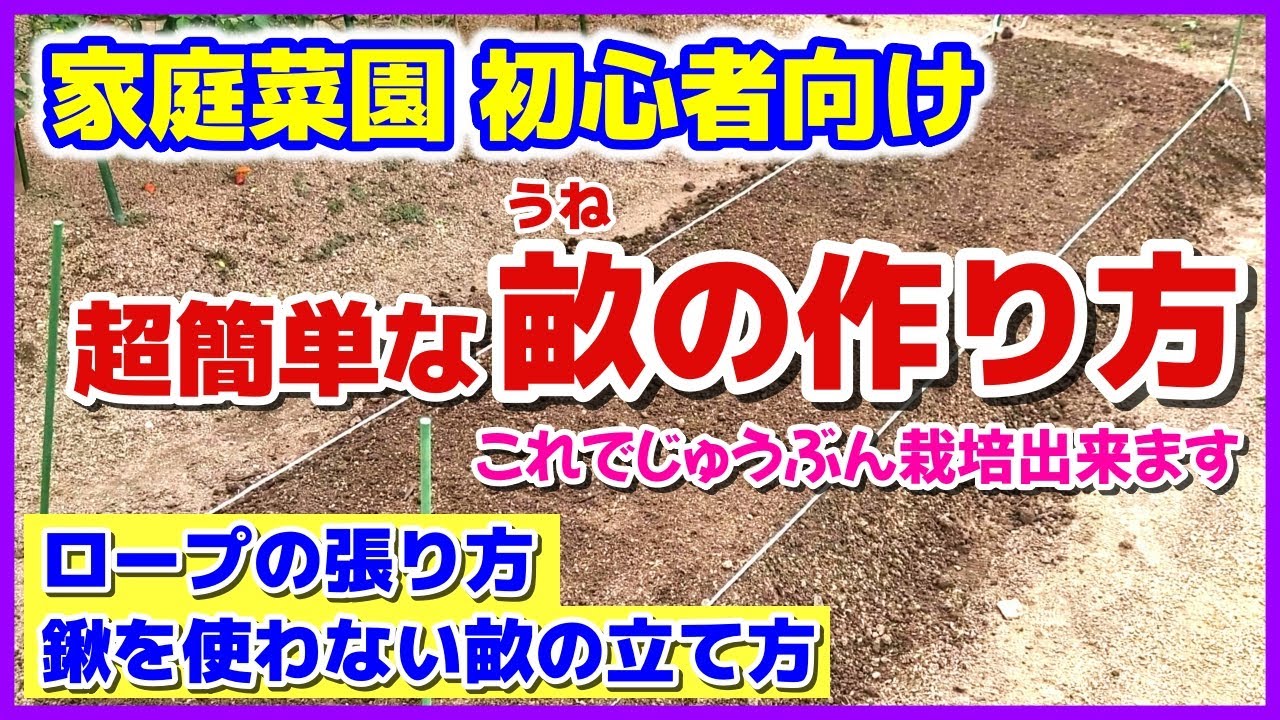 【超簡単な畝の作り方】家庭菜園初心者向け／わかりやすい土作り後の作業／今さら聞けないロープの張り方～鍬を使わない畝（うね）の立て方（早送りなし）／これでじゅうぶん栽培出来る／初心者用／初めての畑作り