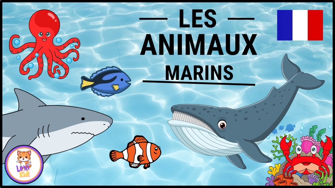LES ANIMAUX MARINS | Apprendre le vocabulaire pour enfants