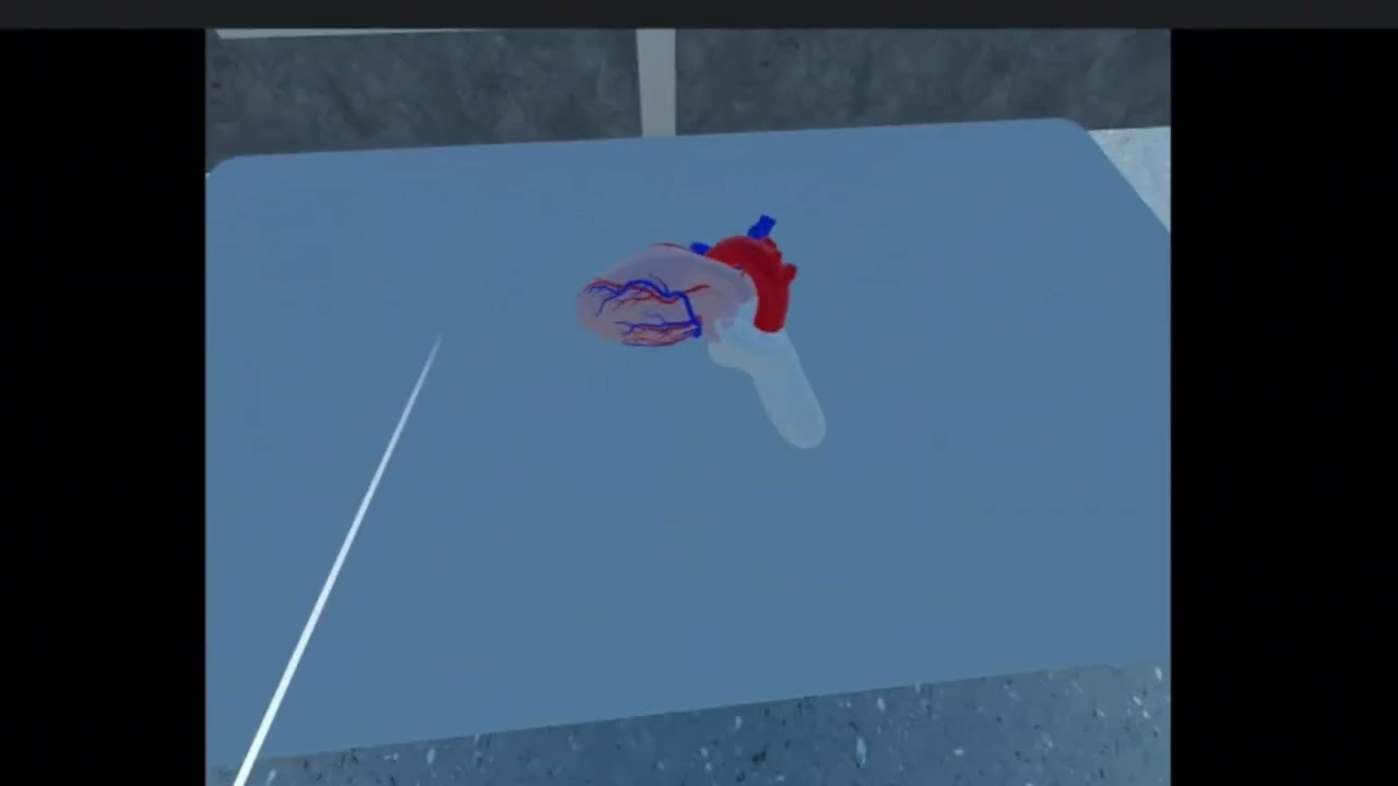 VR Organs Explorer (Medical Visualization)