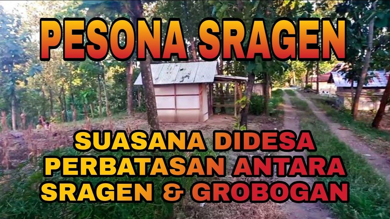 SUASANA DESA PERBATASAN SRAGEN DAN GROBOGAN JAWA TENGAH || PESONA SRAGEN || SRAGEN MOTRET