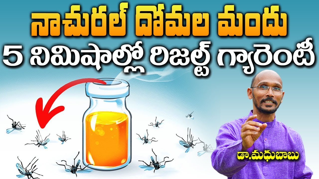 నాచురల్ దోమల మందు | Get Rid of Mosquitoes | Dr. Madhu Babu | Health Trends |