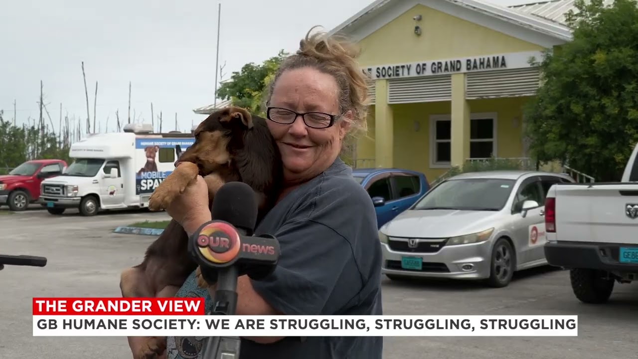 Взгляд в будущее: «Гуманное общество Великобритании: Мы боремся, боремся, боремся»