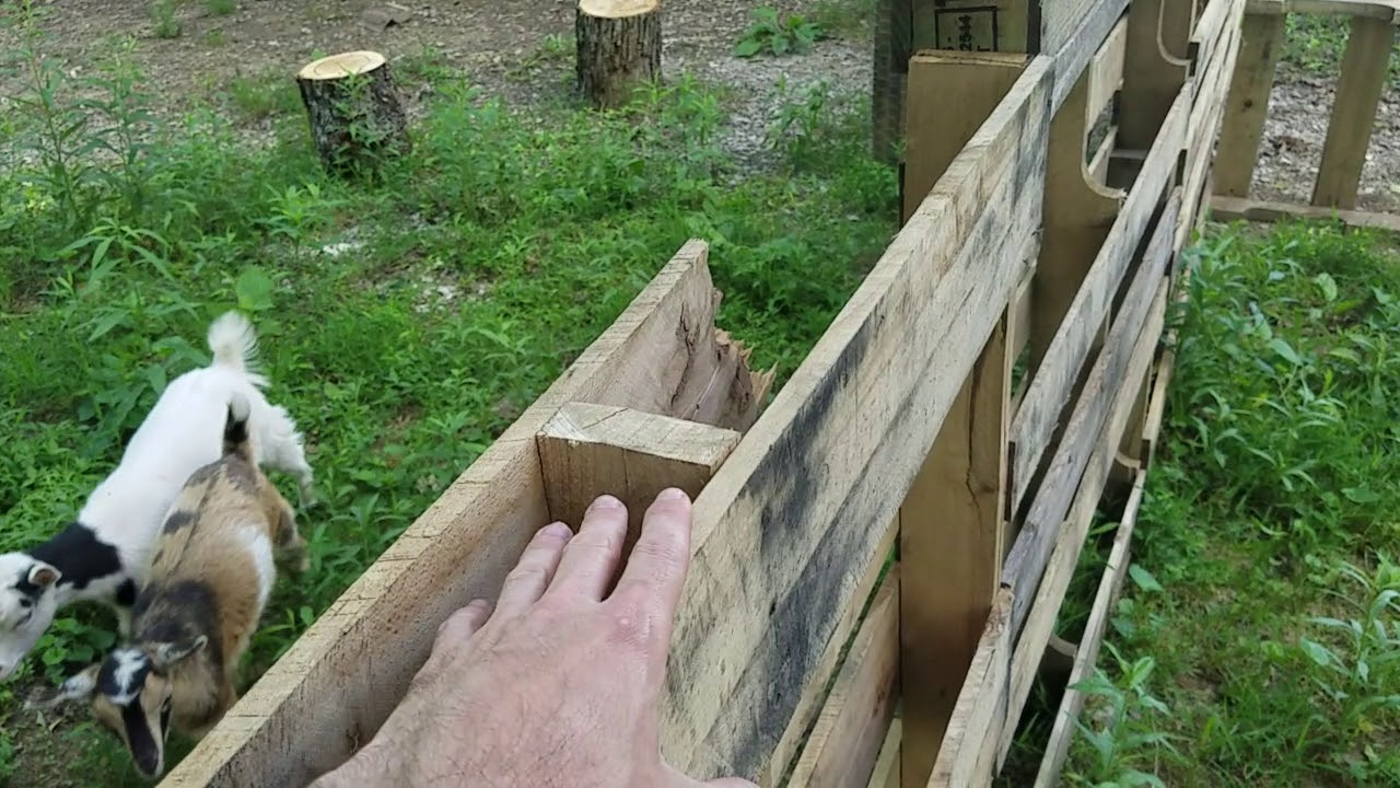How to make a cheap pallet fence