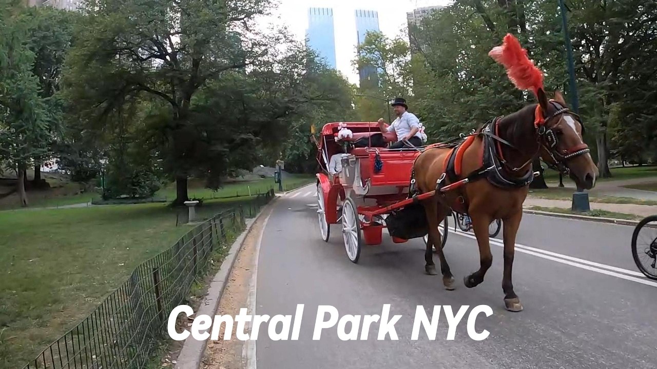 Walking Through Central Park NYC 🌳 | The Most Beautiful Park in New York!